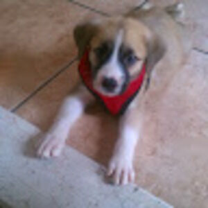 Meet your Posher, Ruperto